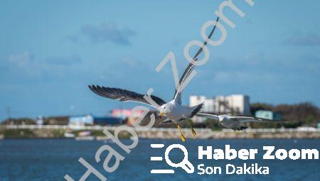 Sanatın nöro-bilimsel etkisi hakkında 10 şaşırtıcı gerçek