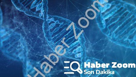 Bilinci Değiştirmenin Etik Boyutları: Nörobilim ve Genetik