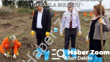 Dalaman Açık Cezaevi’nde Üretim Seferberliği: Sakız Ağacı Fidanları Toprakla Buluştu