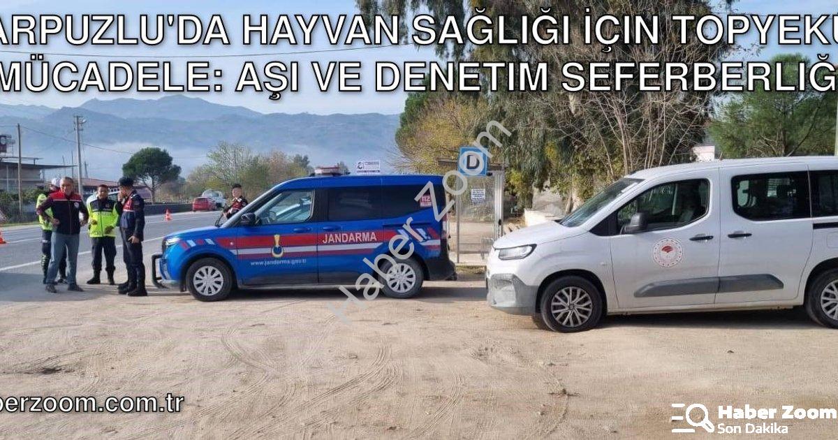 "Karpuzlu'da Hayvan Sağlığı İçin Topyekûn Mücadele: Aşı ve Denetim Seferberliği" başlıklı haber için