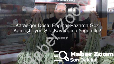 Karaciğer Dostu Enginar Pazarda Göz Kamaştırıyor: Şifa Kaynağına Yoğun İlgi!