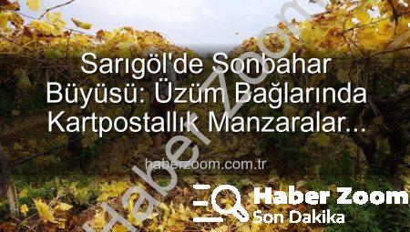 Sarıgöl’de Sonbahar Büyüsü: Üzüm Bağlarında Kartpostallık Manzaralar Eşliğinde Budama Sezonu Başladı
