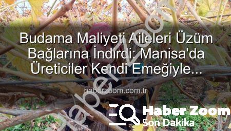 Budama Maliyeti Aileleri Üzüm Bağlarına İndirdi: Manisa’da Üreticiler Kendi Emeğiyle Tasarruf Yolunda