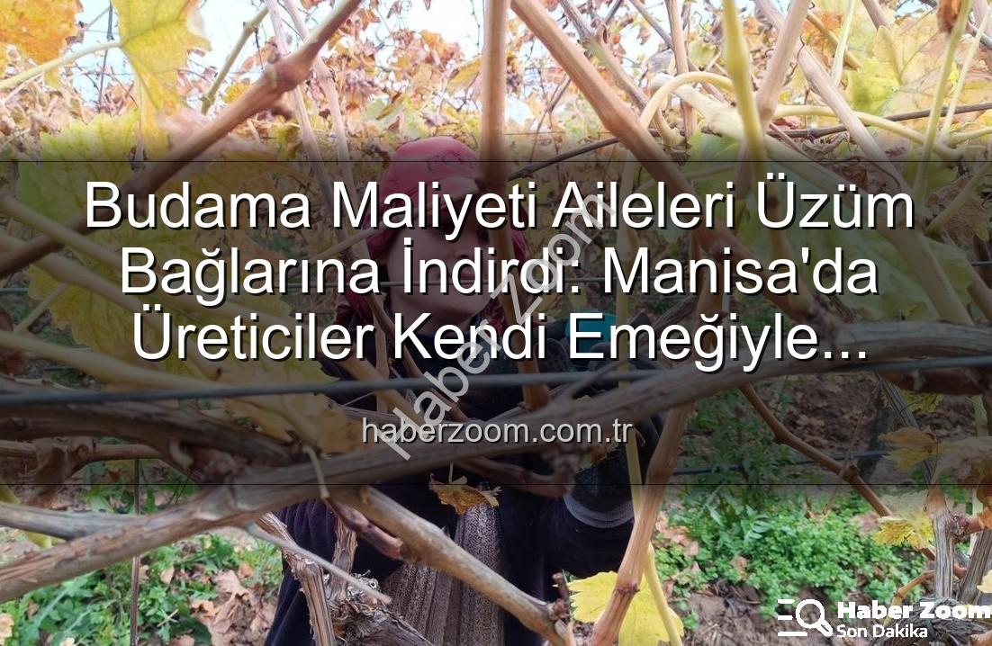 budama maliyeti - Budama Maliyeti Aileleri Üzüm Bağlarına İndirdi: Manisa'da Üreticiler Kendi Emeğiyle Tasarruf Yolunda