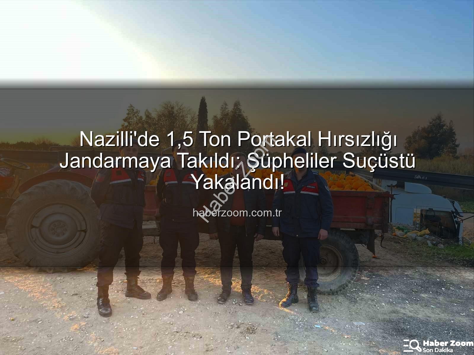 portakal hırsızlığı - Nazilli'de 1,5 Ton Portakal Hırsızlığı Jandarmaya Takıldı: Şüpheliler Suçüstü Yakalandı!