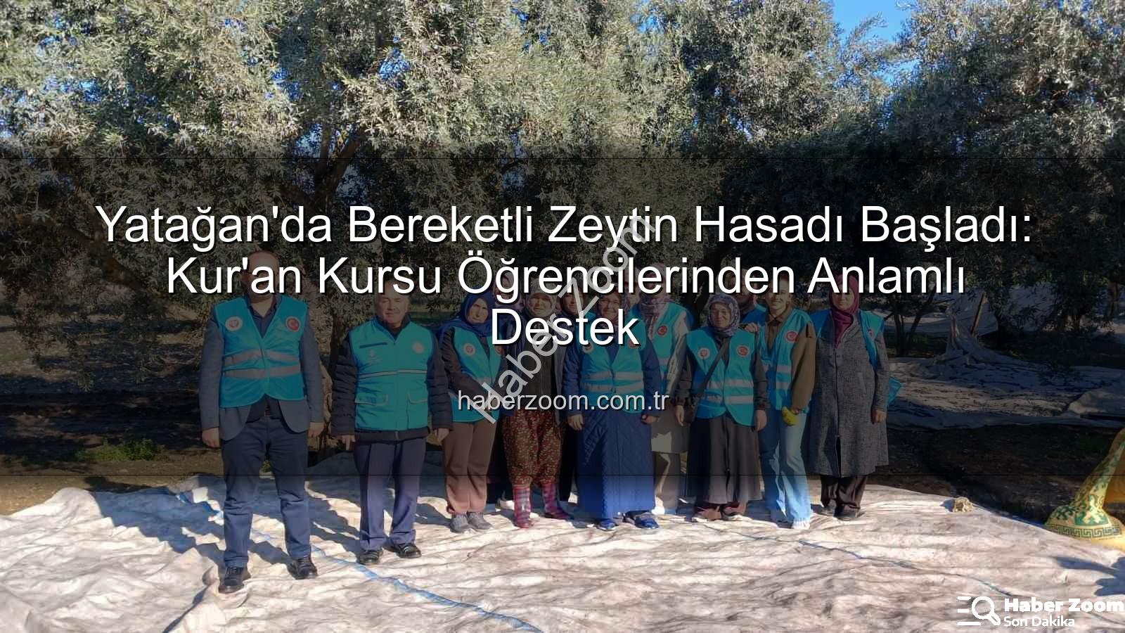 zeytin hasadı - Yatağan'da Bereketli Zeytin Hasadı Başladı: Kur'an Kursu Öğrencilerinden Anlamlı Destek