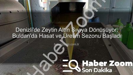 Denizli’de Zeytin Altın Sıvıya Dönüşüyor: Buldan’da Hasat ve Üretim Sezonu Başladı