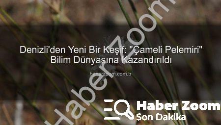 Denizli’den Yeni Bir Keşif: “Çameli Pelemiri” Bilim Dünyasına Kazandırıldı