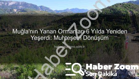 Dalaman’da Yanan Orman 6 Yılda Nasıl Yeşil Örtüye Dönüştü? Mucizevi Ağaçlandırma Başarısı