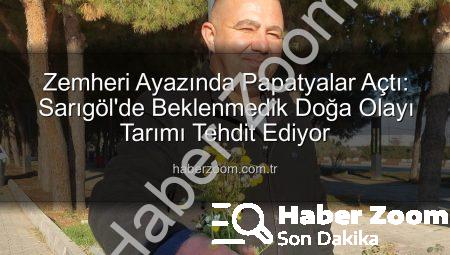 Zemheri Ayazında Papatyalar Açtı: Sarıgöl’de Beklenmedik Doğa Olayı Tarımı Tehdit Ediyor